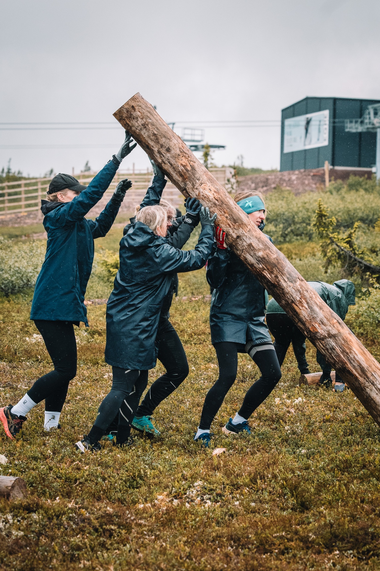 Teamwork med stockar